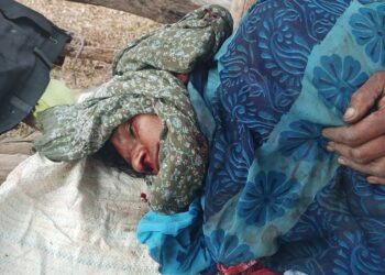 देवलापार परिसरात वाघाचा पुन्हा हल्ला; ३५ वर्षीय महिलेचा दुर्दैवी मृत्यू