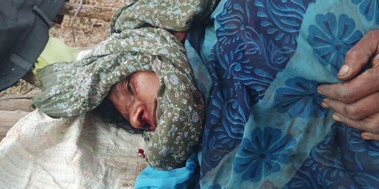 देवलापार परिसरात वाघाचा पुन्हा हल्ला; ३५ वर्षीय महिलेचा दुर्दैवी मृत्यू