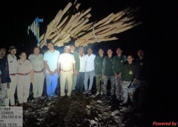 धडगाव वनविभागाची धडक कारवाई; बिलगावच्या दुर्गम भागातून ३० हजारांचा अवैध साग जप्त