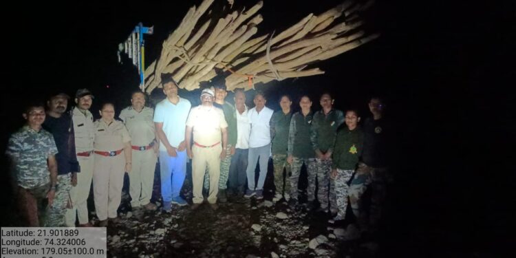 धडगाव वनविभागाची धडक कारवाई; बिलगावच्या दुर्गम भागातून ३० हजारांचा अवैध साग जप्त