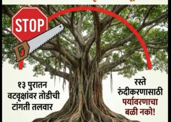 हलकर्णी-वाटंगी मार्गावरील ‘वटवृक्ष’ वाचवा, अन्यथा तीव्र आंदोलन!
