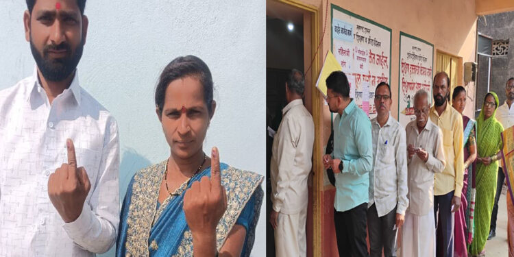सकाळी मतदानाची संथ गतीने सुरुवात मात्र या ‘तीन’ तालुक्यात झाले सर्वाधिक मतदान; मतदान टक्केवारीचा फायदा कुणाला? 
