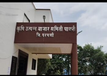 पाथरी कृषी उत्पन्न बाजार समितीत गुरांच्या बाजारात ‘तीतली पत्ता’ जुगार तेजीत; शहरात मटका पुन्हा सुरू