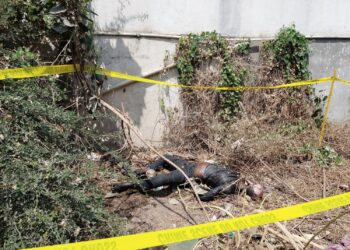 नांदुरा शहरात खळबळ….