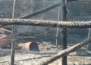 सिलेंडरचा भीषण स्फोट! आगीत घर भस्मसात सुदैवाने जिवित हानी टळली.