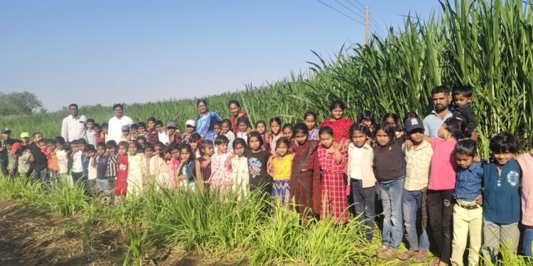 निमगाव जि.प. प्राथमिक शाळेच्या विद्यार्थ्यांची शैक्षणिक क्षेत्रभेट; शेती व दुग्ध व्यवसायाचा घेतला प्रत्यक्ष अनुभव