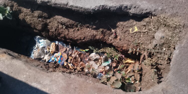 चांदुर रेल्वे शहरातील स्वच्छतेचा प्रश्न ऐरणीवर!..