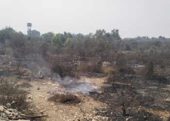 तारापूर परिसरात आगीच्या सलग घटना; अग्निशमन दलाच्या तत्परतेने मोठा अनर्थ टळला