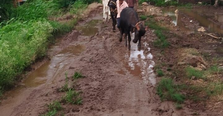 कुरण–ढवळी रस्त्याच्या डांबरीकरणाला मंजुरी; ग्रामस्थांकडून आकाश गौराजे यांचे आभार