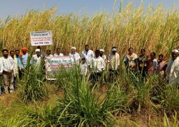 कृषि विज्ञान केंद्र, सेलसुरा येथे ‘शेतीदिन’ व चारा प्रक्षेत्र भेट कार्यक्रम उत्साहात संपन्न