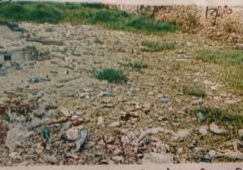 दर्यापूर -अवधूत नगर कडे नगरसेवक, नगरपालिकेचे  दुर्लक्ष?