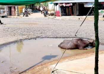 देवाडा मेन रोडचे अर्धवट काम ठप्प; पाणी साचून खड्ड्यांमुळे रहदारी धोक्यात, ग्रामस्थांचा संताप