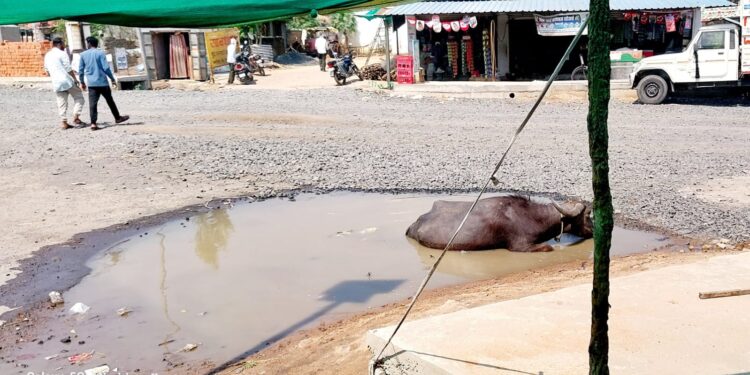 देवाडा मेन रोडचे अर्धवट काम ठप्प; पाणी साचून खड्ड्यांमुळे रहदारी धोक्यात, ग्रामस्थांचा संताप