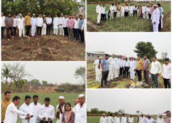 गारपिटीसह अवकाळी पावसाने पारनेर तालुक्यातील शेतकऱ्यांचे मोठे नुकसान; आमदार काशिनाथ दाते यांची पाहणी