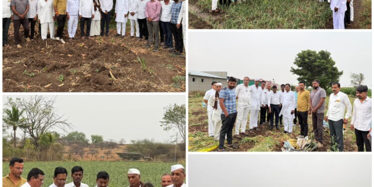 गारपिटीसह अवकाळी पावसाने पारनेर तालुक्यातील शेतकऱ्यांचे मोठे नुकसान; आमदार काशिनाथ दाते यांची पाहणी