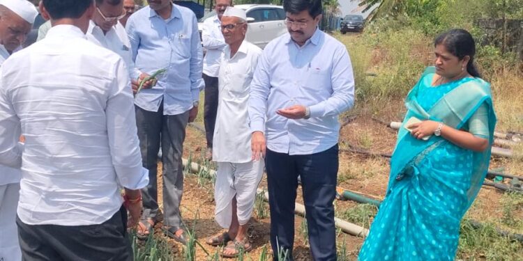 गारपीटग्रस्त शेतकऱ्यांना दिलासा; नेत्यांकडून तातडीने पाहणी, नुकसानभरपाईचे आश्वासन