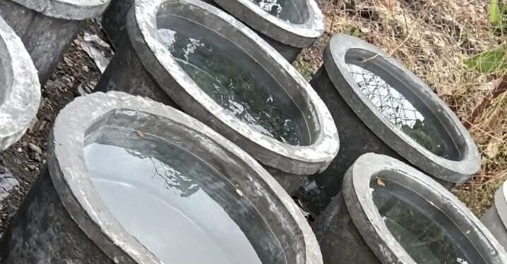 डॉ. बाबासाहेब आंबेडकर जयंतीनिमित्त मुक्या प्राण्यांसाठी पाण्याच्या टाक्यांचा उपक्रम; कळंब-डिकसळ परिसरात दयावान प्रतिष्ठानचा पुढाकार