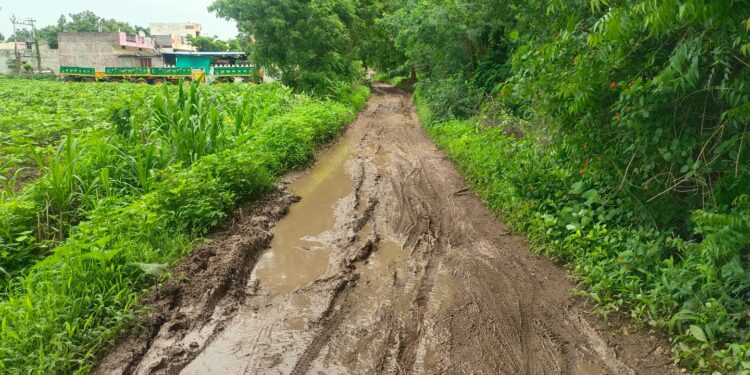 ‘चलो मढी’चा नारा; राज्यस्तरीय अधिवेशनातून शेतरस्ता चळवळीला नवे बळ