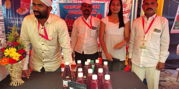 चिंचवडच्या स्ट्रॉबेरी महोत्सवात ‘लोहकरे बंधूंची’ स्ट्रॉबेरी ठरली आकर्षण; मापोलीचा ‘कमलाजा माता’ गट चर्चेत