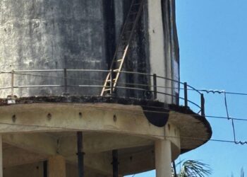 सरकारी रुग्णालयात मधमाश्यांचा हल्ला; वृद्ध गंभीर जखमी, प्रशासनाकडे तातडीच्या उपाययोजनांची मागणी