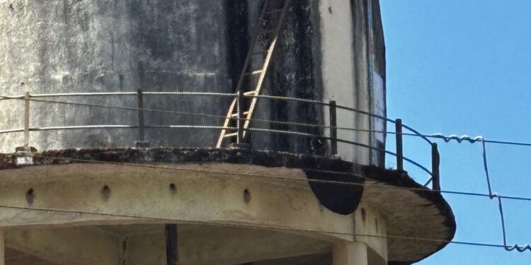 सरकारी रुग्णालयात मधमाश्यांचा हल्ला; वृद्ध गंभीर जखमी, प्रशासनाकडे तातडीच्या उपाययोजनांची मागणी