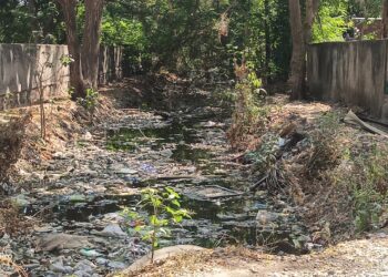 शहादा नगरपालिकेकडून साफसफाईबाबत दुर्लक्ष; रहिवासी संतप्त, आंदोलनाचा इशारा