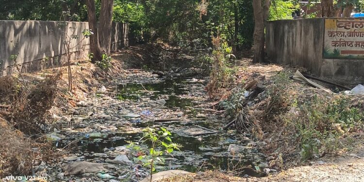 शहादा नगरपालिकेकडून साफसफाईबाबत दुर्लक्ष; रहिवासी संतप्त, आंदोलनाचा इशारा