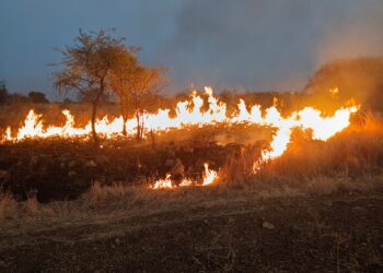 चिचोंडी पाटीलमध्ये भीषण आग – 100 ते 150 एकर क्षेत्र जळून खाक