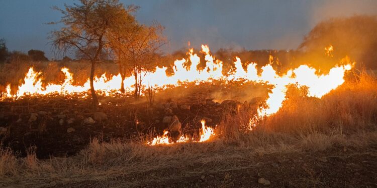 चिचोंडी पाटीलमध्ये भीषण आग – 100 ते 150 एकर क्षेत्र जळून खाक
