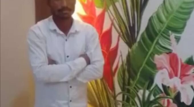 सर्पदंशाने युवकाचा मृत्यू; हिंगणी गावात शोककळा