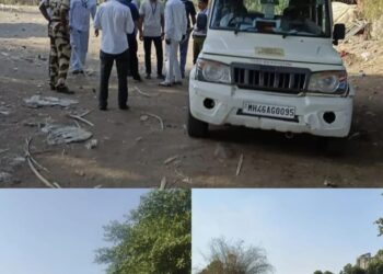 तळोजा व नावडेतील अनधिकृत आठवडा बाजारांवर पनवेल महापालिकेची धडक कारवाई