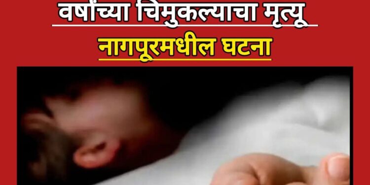पाणी समजून टरपेंटाईन पिल्याने दोन वर्षीय चिमुकल्याचा दुर्दैवी मृत्यू; नागपूरमध्ये हळहळ