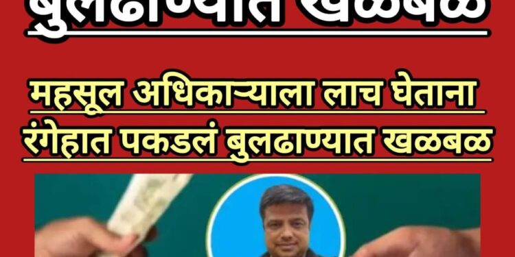 हकरमध्ये ACBची मोठी कारवाई महसूल अधिकारी २० हजारांची लाच घेताना पकडला