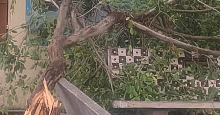 🌧️ मुंगशी परिसरात अवकाळी पावसाचा फटका; शेतकऱ्यांचे मोठे नुकसान