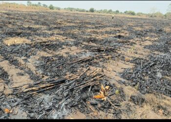 कजगाव शिवारात भीषण आग; शेतकऱ्यांचे लाखोंचे नुकसान