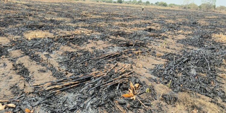 कजगाव शिवारात भीषण आग; शेतकऱ्यांचे लाखोंचे नुकसान