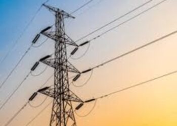 कमी दाबाच्या वीजपुरवठ्यामुळे पिकांचे नुकसान; शेतकऱ्यांचा संताप वाढला