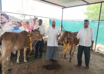 अक्षय तृतीयेच्या मुहूर्तावर श्री दत्तप्रभू गोशाळेचा शुभारंभ; गोसंवर्धनासाठी पुढाकार