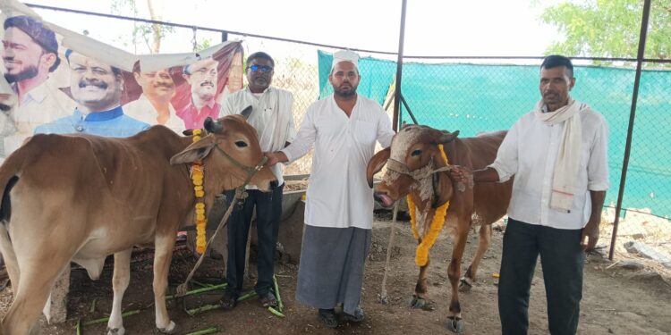 अक्षय तृतीयेच्या मुहूर्तावर श्री दत्तप्रभू गोशाळेचा शुभारंभ; गोसंवर्धनासाठी पुढाकार