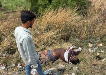 रेल्वेसमोर उडी घेऊन तरुणाचा मृत्यू; वाहितपूर शिवारात दुर्दैवी घटना