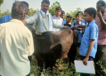व्यवसाय शिक्षणातून आत्मनिर्भरतेकडे विद्यार्थ्यांची झेप; गुगळी धामणगाव शाळेचा आदर्श उपक्रम