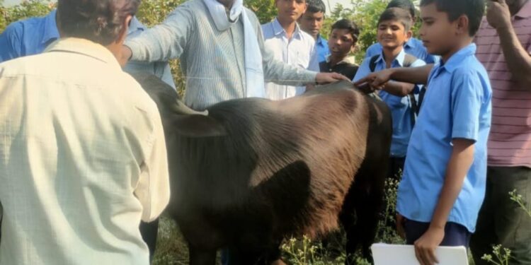 व्यवसाय शिक्षणातून आत्मनिर्भरतेकडे विद्यार्थ्यांची झेप; गुगळी धामणगाव शाळेचा आदर्श उपक्रम