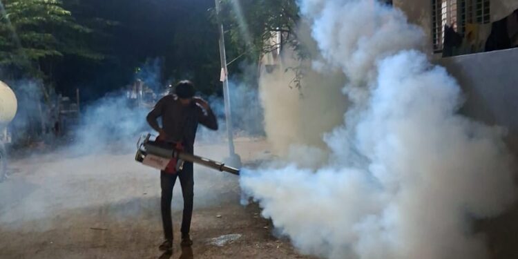 शहादा शहरात डासांचा कहर; नागरिक त्रस्त, पालिकेची युद्धपातळीवर फॉगिंग मोहीम सुरू