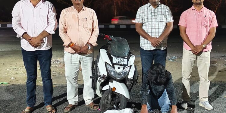 गांजा तस्करीवर स्थानिक गुन्हे शाखेची धडक कारवाई; १.५५ लाखांचा मुद्देमाल जप्त