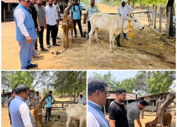 गौमाता सन्मान दिनानिमित्त डॉ. देवराव होळी यांची दीपकधाम गौशाळेला भेट; कार्यकर्त्यांना मार्गदर्शन