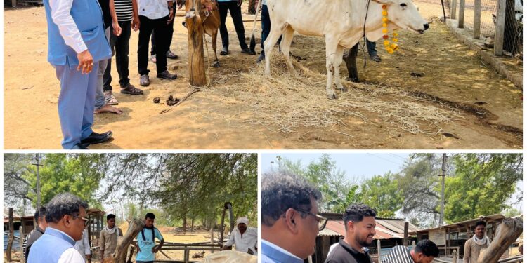 गौमाता सन्मान दिनानिमित्त डॉ. देवराव होळी यांची दीपकधाम गौशाळेला भेट; कार्यकर्त्यांना मार्गदर्शन
