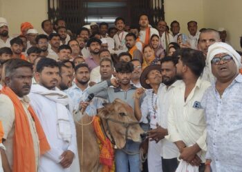 प्रल्हादपुर परतूर येथे गो सन्मान अभियान उपविभागीय अधिकारी कार्यालयांमार्फत राष्ट्रपती व पंतप्रधानांना निवेदन