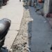 अपघाताच्या खाईत सेलूकरांना ढकलणारे खोदकाम; प्रशासनाचे दुर्लक्ष