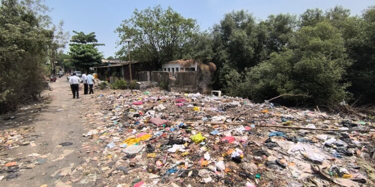 शेवा कोळीवाडा पुनर्वसन प्रकरण: ४० वर्षांच्या विलंबावर उच्च न्यायालयाची प्रशासनाला फटकार; सहा आठवड्यांत निर्णयाचे आदेश