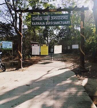कर्नाळा पक्षी अभयारण्यात वन्यजीव गणना; महामार्गावरील आवाजामुळे अधिवासावर परिणामाची भीती
